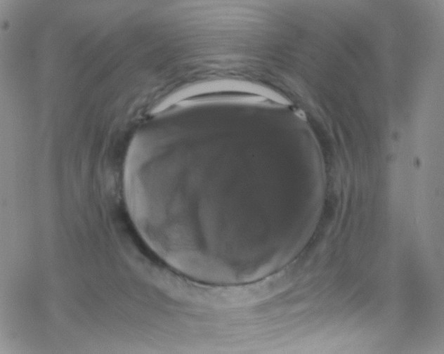 X0000076350031200610272131