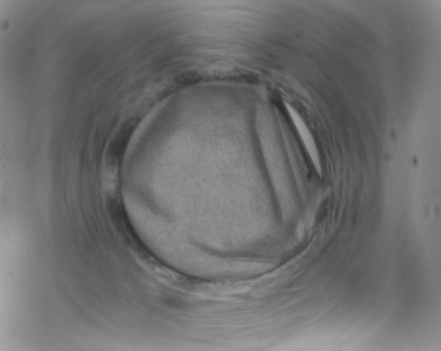 X0000076350033200610272131