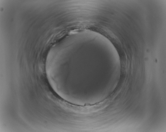 X0000076350035200610272131