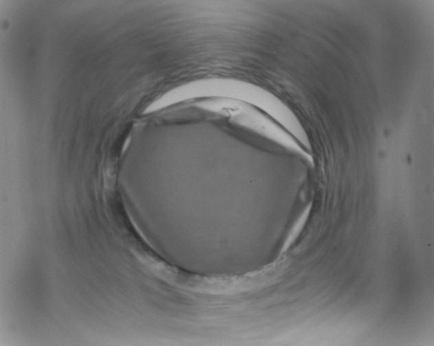 X0000076350037200610272131