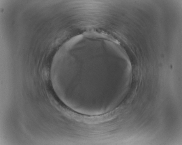 X0000076350039200610272131