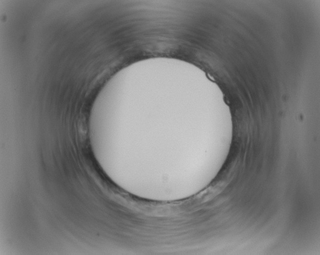 X0000076350040200610272131