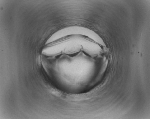 X0000076350041200610272131