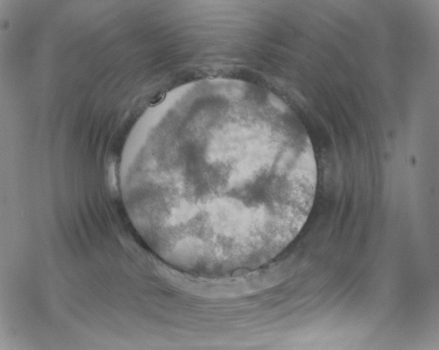 X0000076350042200610272131