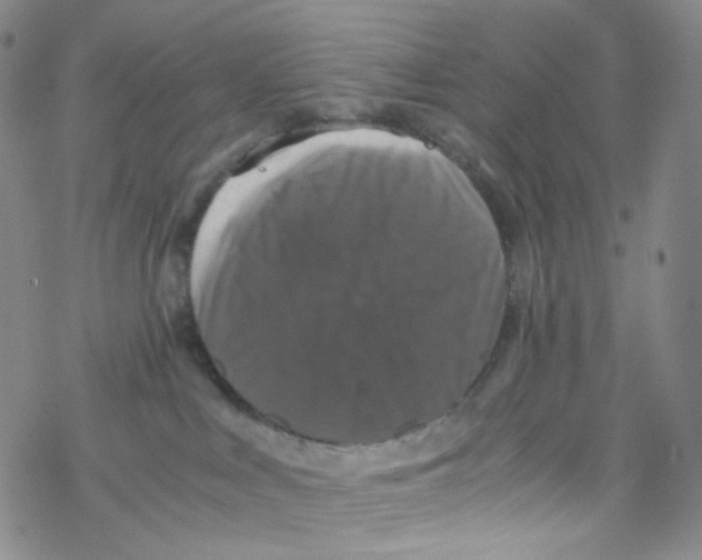 X0000076350043200610272131