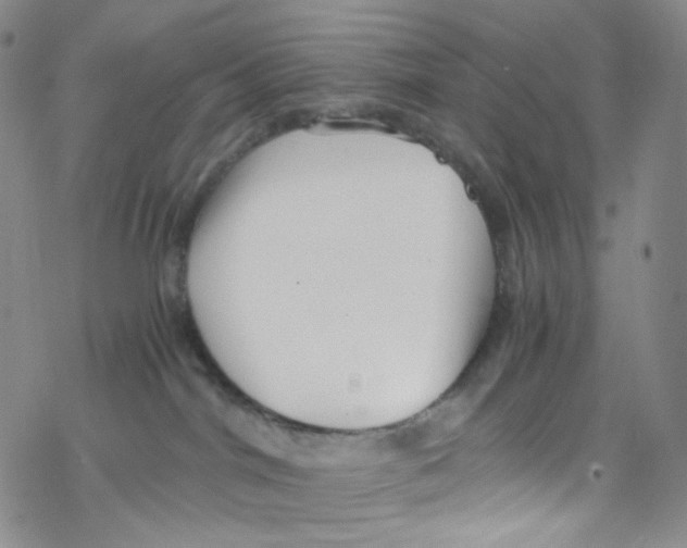 X0000076350044200610272131