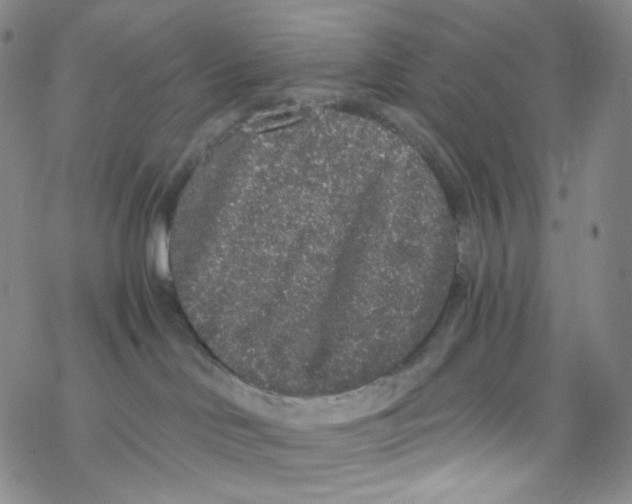 X0000076350046200610272131