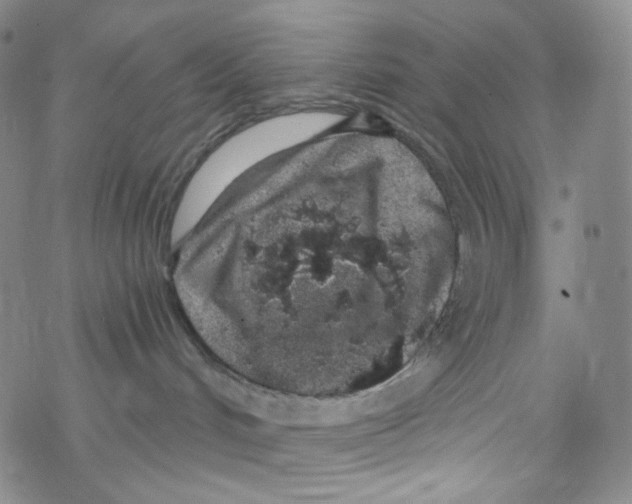 X0000076350048200610272131