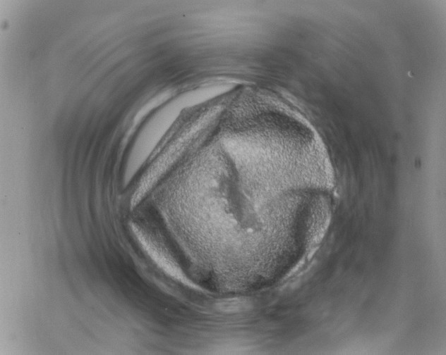 X0000076350050200610272130