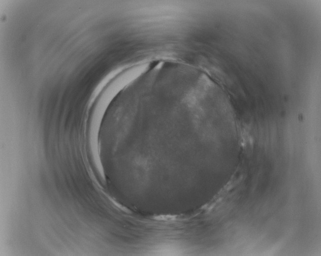 X0000076350052200610272130