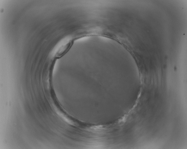 X0000076350054200610272130