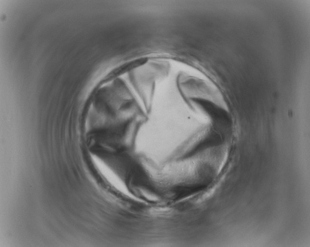 X0000076350055200610272130