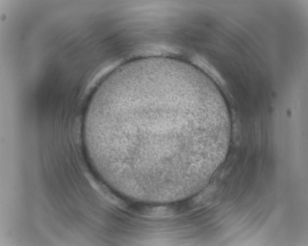 X0000076350058200610272130