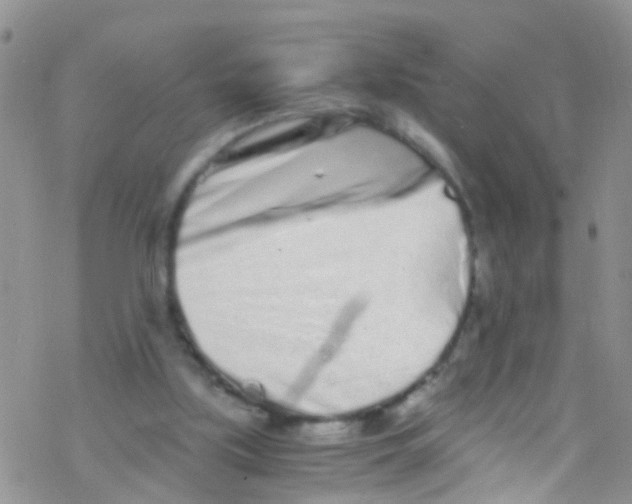 X0000076350059200610272130