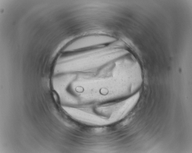 X0000076350060200610272130