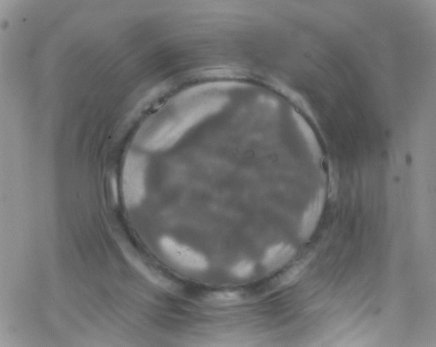 X0000076350061200610272130