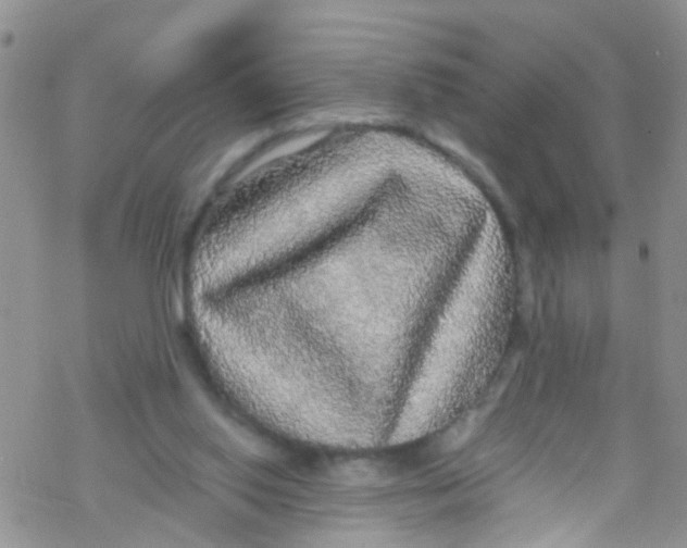 X0000076350062200610272130