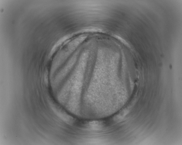 X0000076350064200610272130