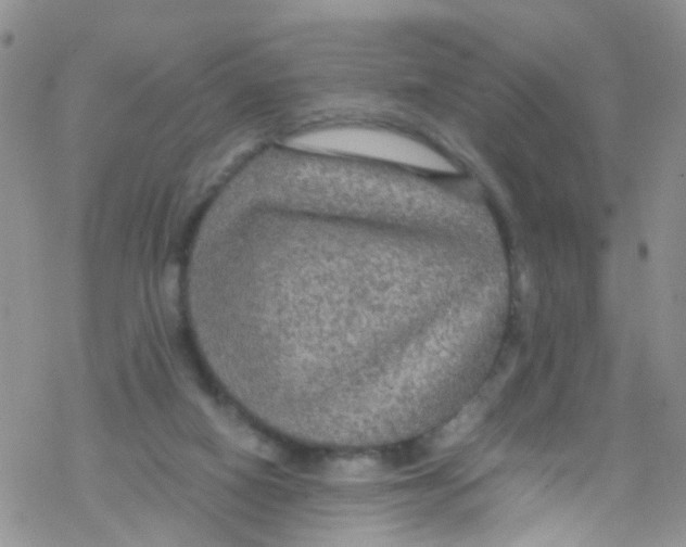 X0000076350066200610272130