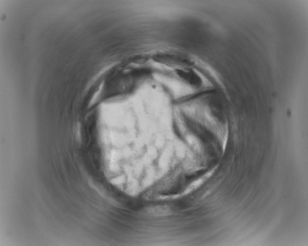 X0000076350067200610272130