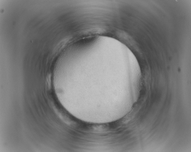 X0000076350070200610272130