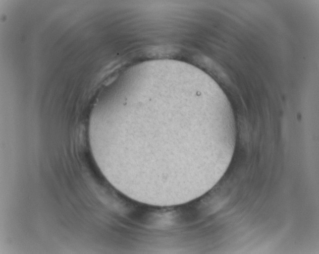 X0000076350071200610272130