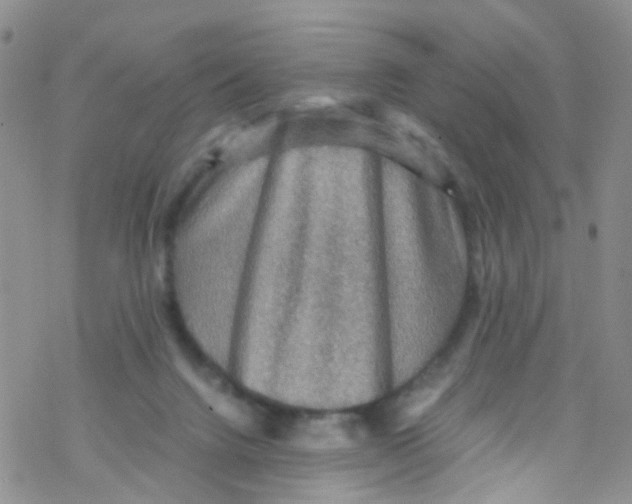 X0000076350072200610272130