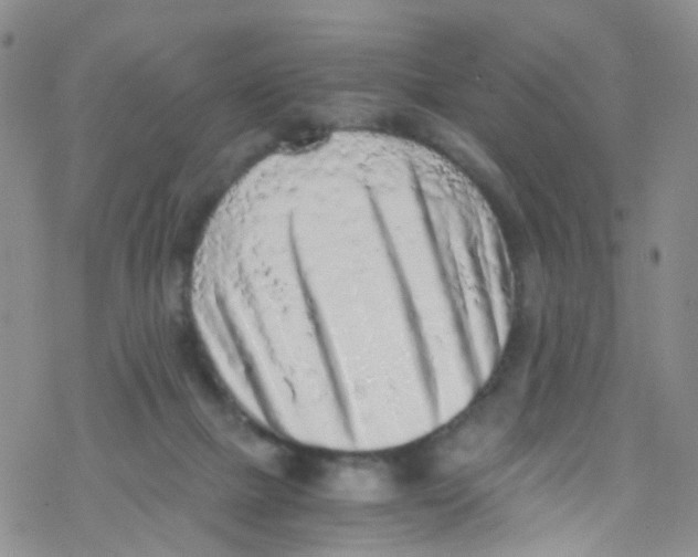 X0000076350073200610272130