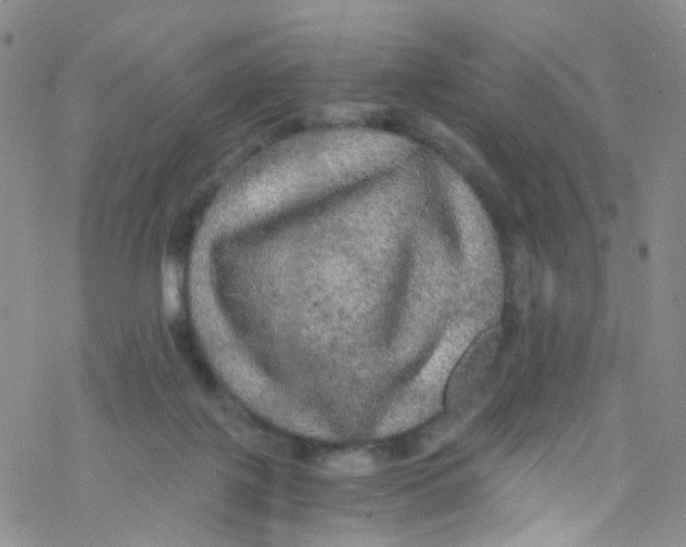 X0000076350075200610272130