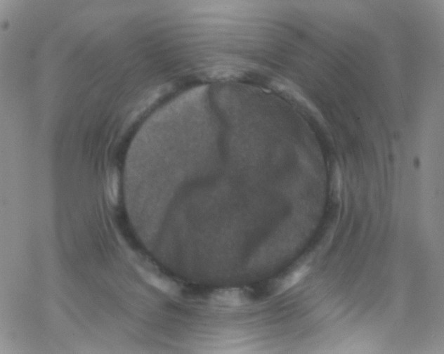 X0000076350076200610272130