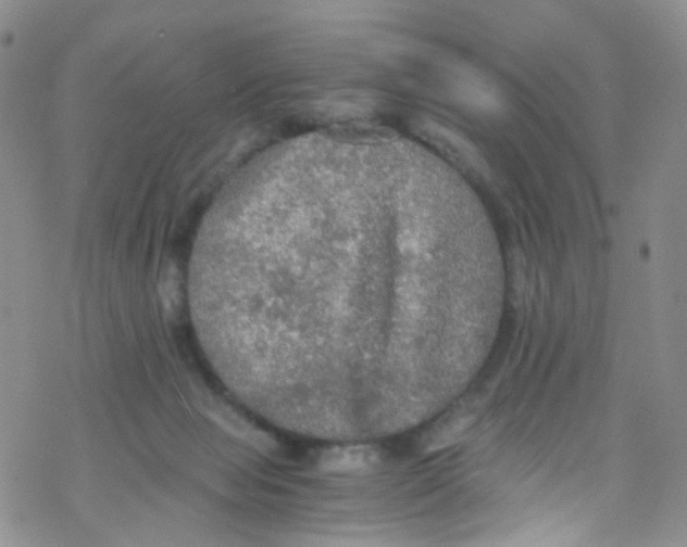 X0000076350077200610272130