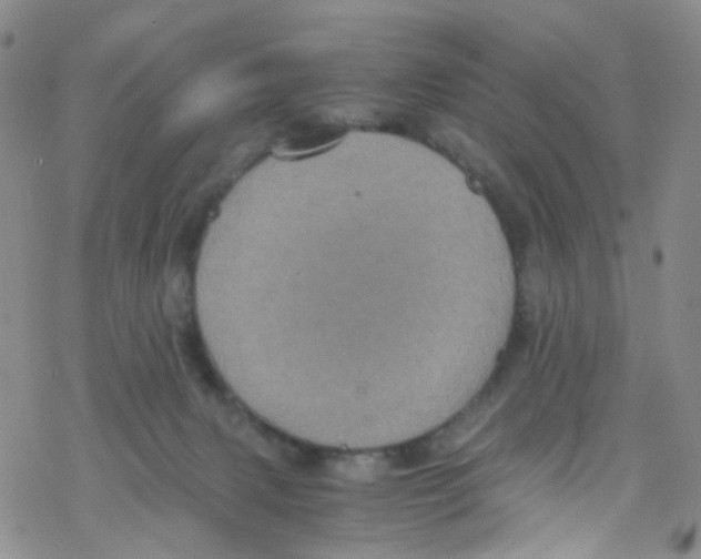 X0000076350079200610272130