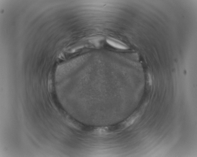 X0000076350080200610272130