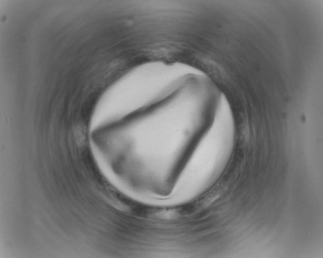 X0000076350081200610272130