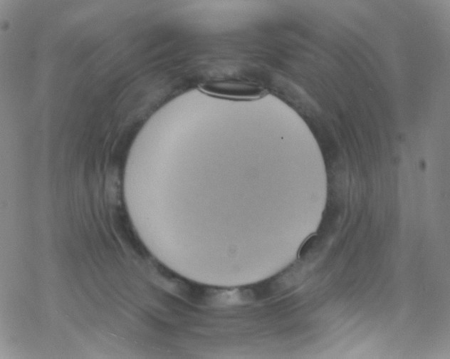 X0000076350083200610272131