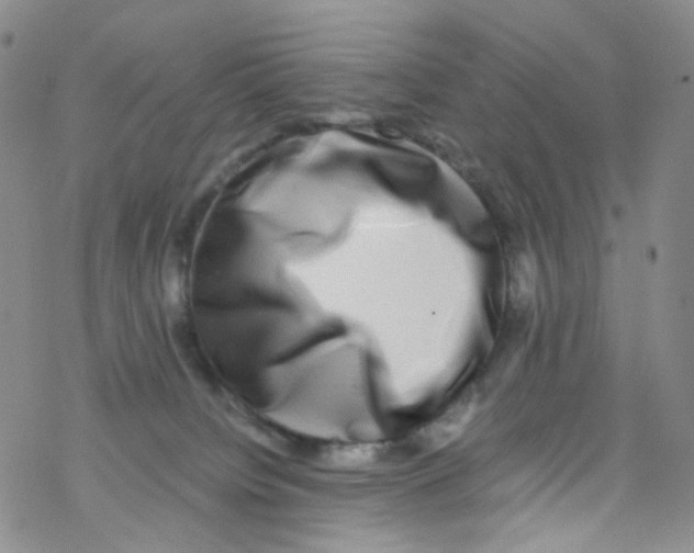 X0000076350084200610272131