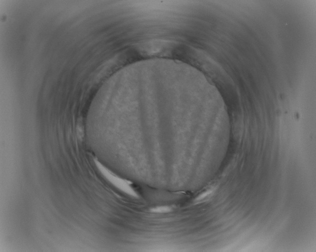 X0000076350085200610272131