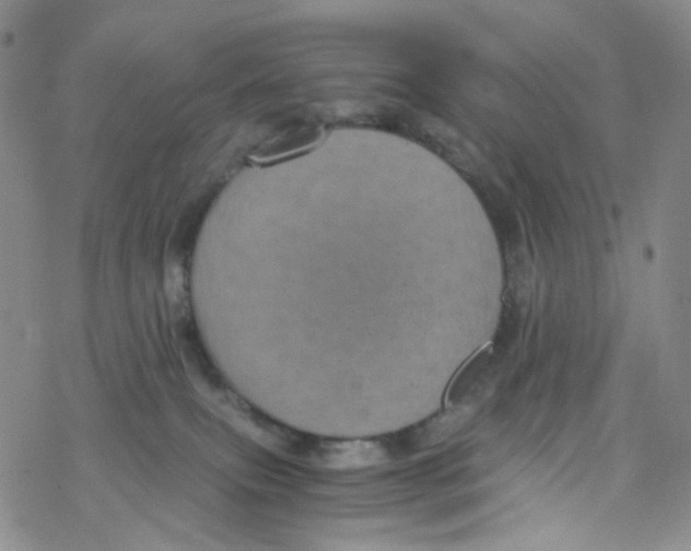 X0000076350087200610272131