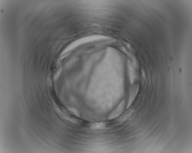 X0000076350088200610272131