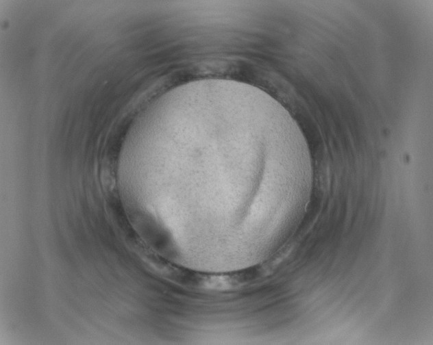 X0000076350091200610272131