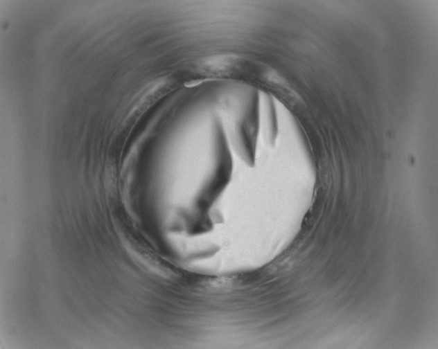 X0000076350092200610272131