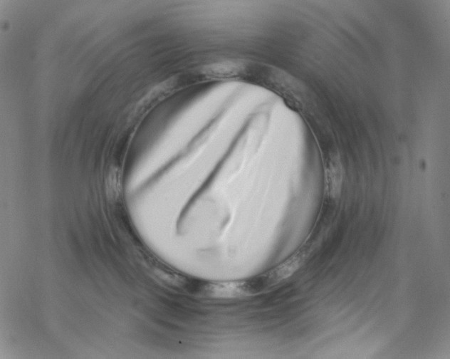 X0000076350093200610272131