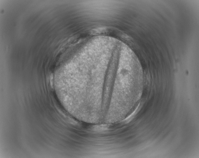 X0000076350094200610272131