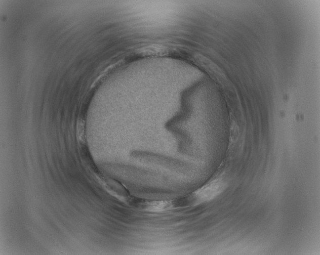 X0000076350096200610272131