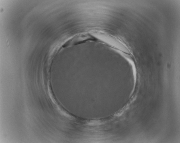 X0000076350097200610272130