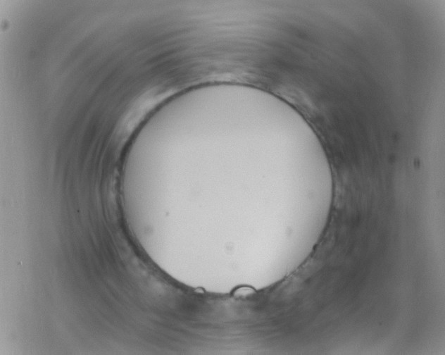 X0000076350098200610272130