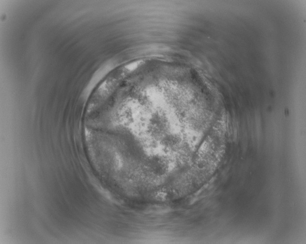 X0000076350099200610272130