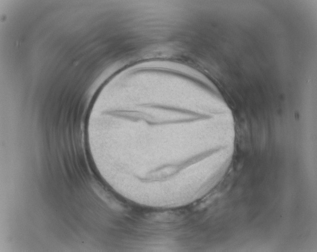 X0000076350100200610272130