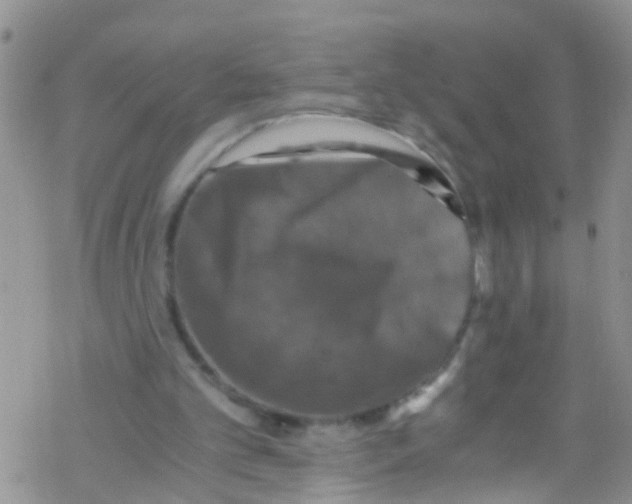 X0000076350101200610272130