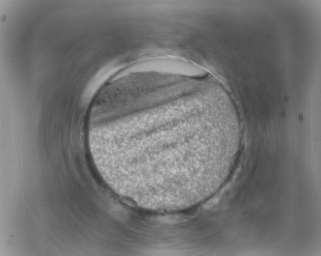 X0000076350103200610272130